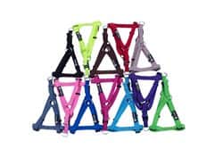 רתמה בייסיק 30 מ"מ -מידה XL